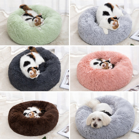 Pet Bed & Blanket