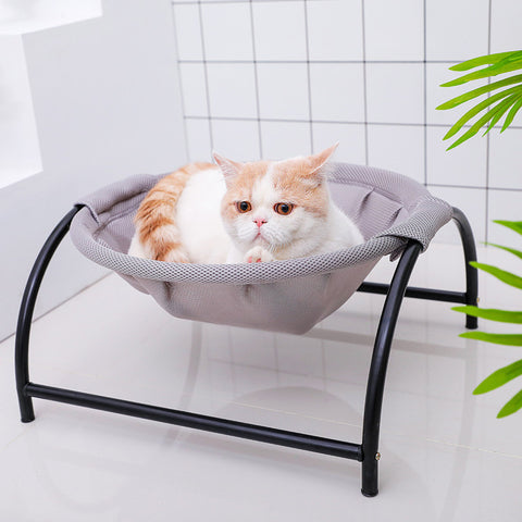 Pet Bed & Blanket