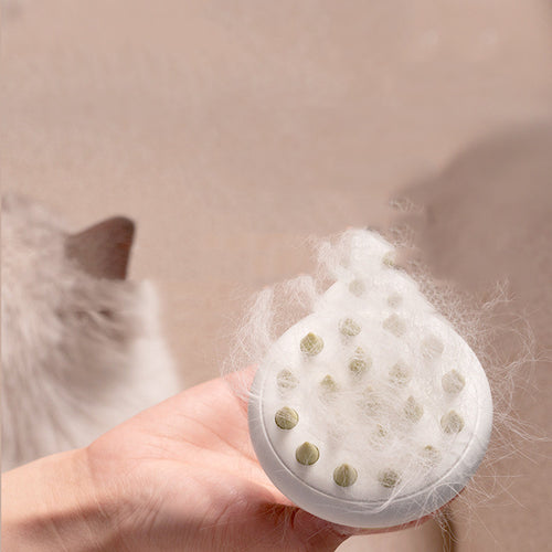 Pet bath massage brush