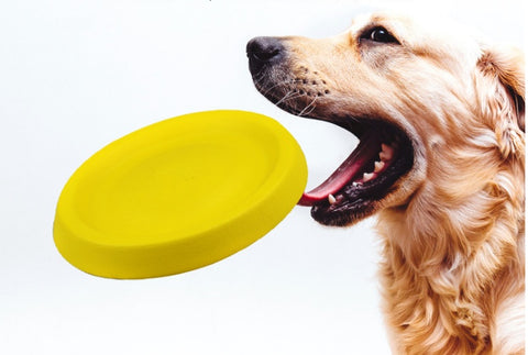 Pet hidden food toys