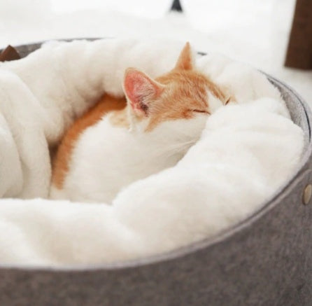 Pet Bed & Blanket