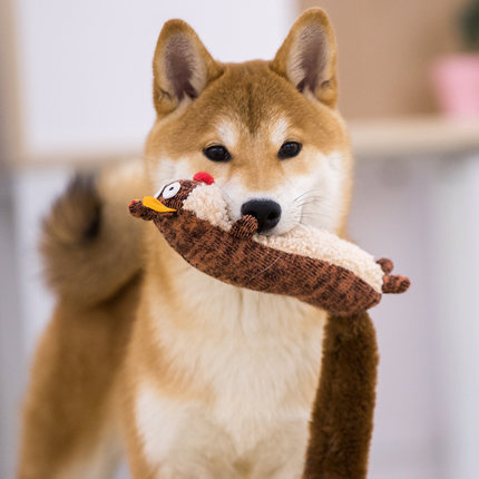 Pet hidden food toys