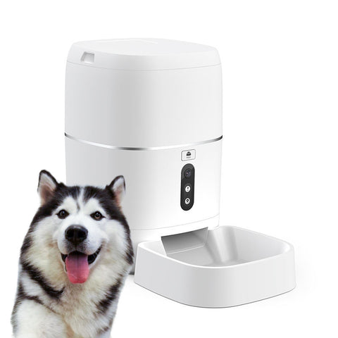 pet smart feeder